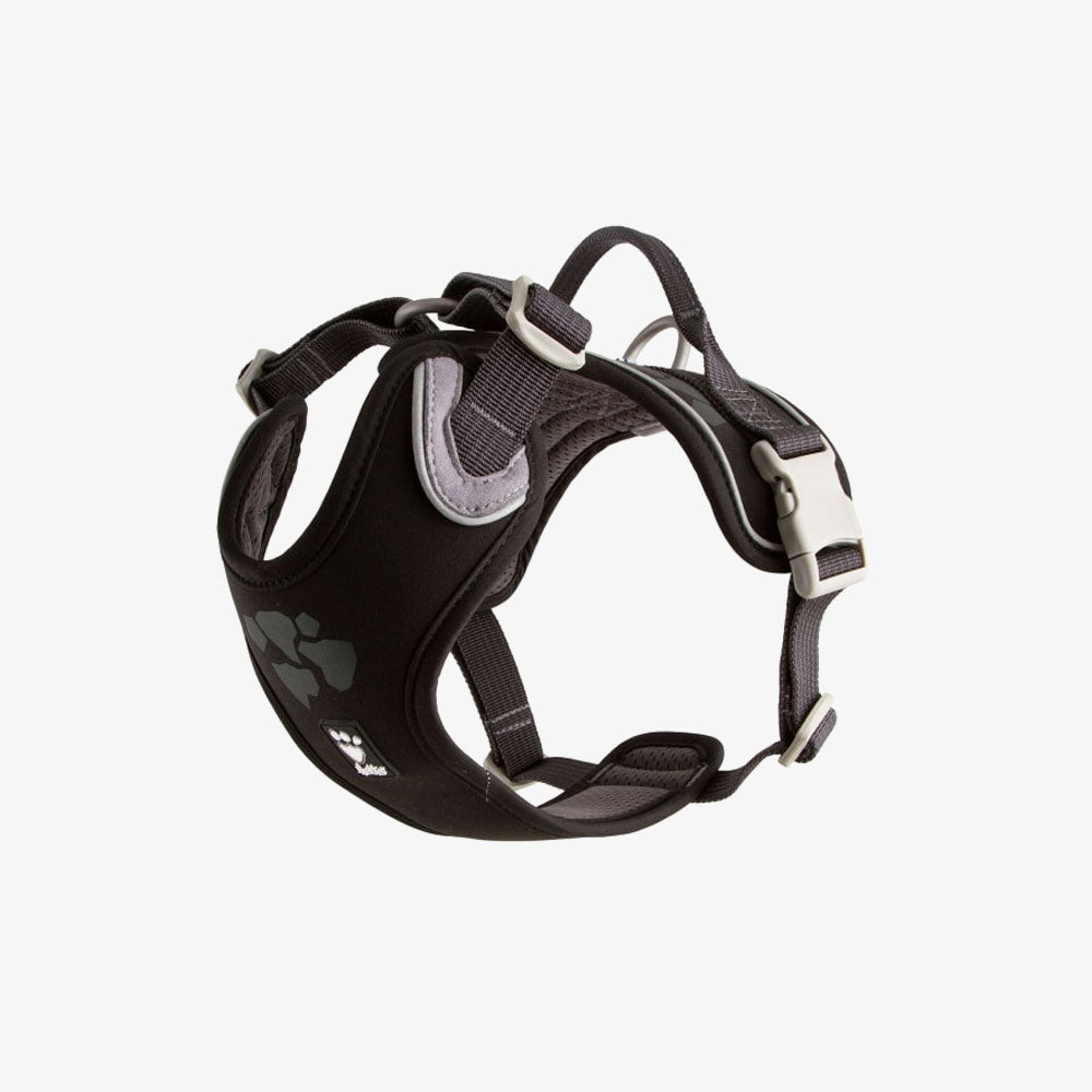 Globus Sport Dog Collar
