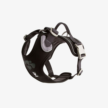 Globus Sport Dog Collar
