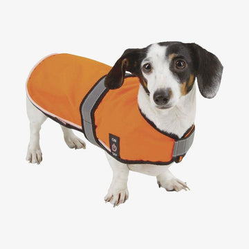 Kerbl LED safety vest