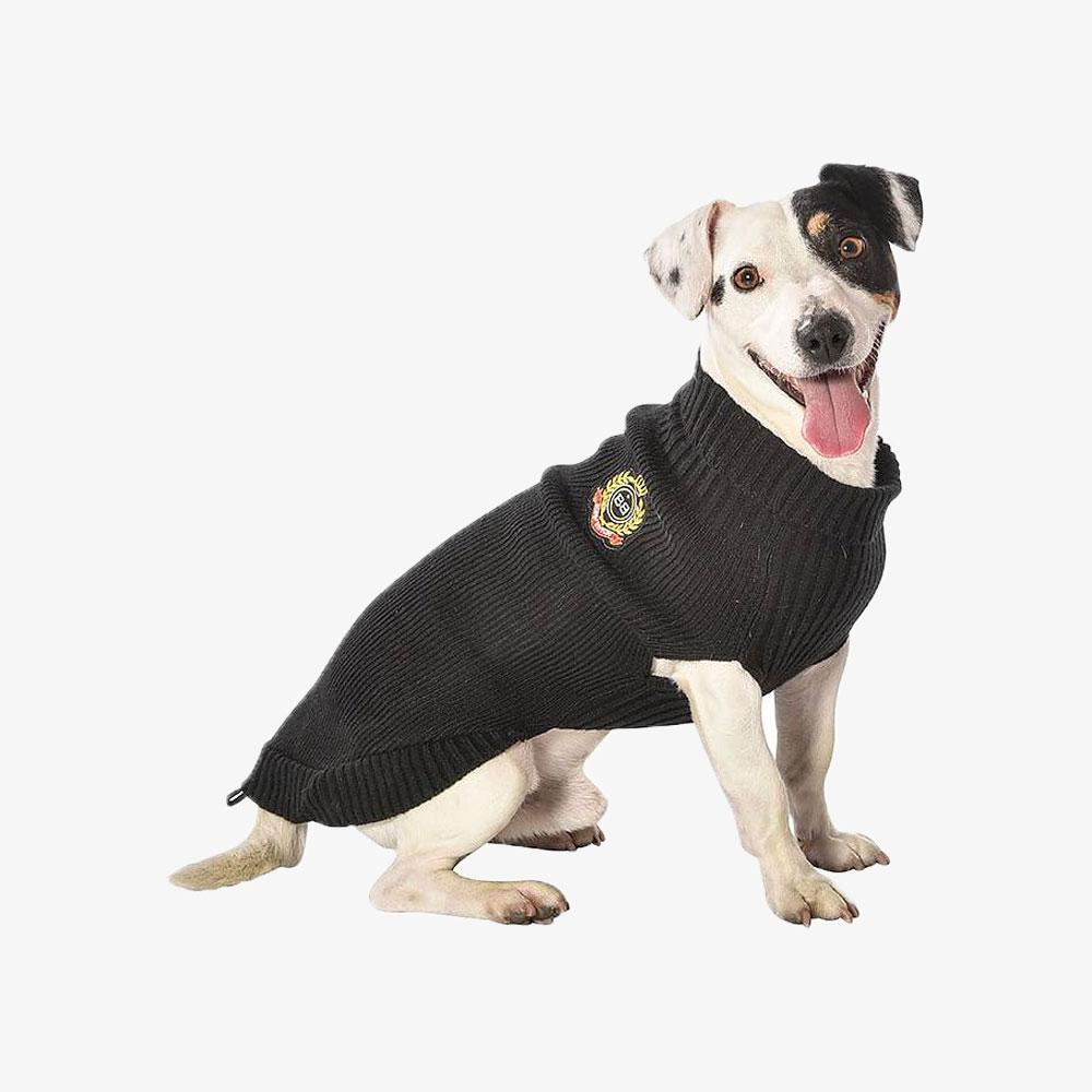 Band Avant Garde Couture Dog