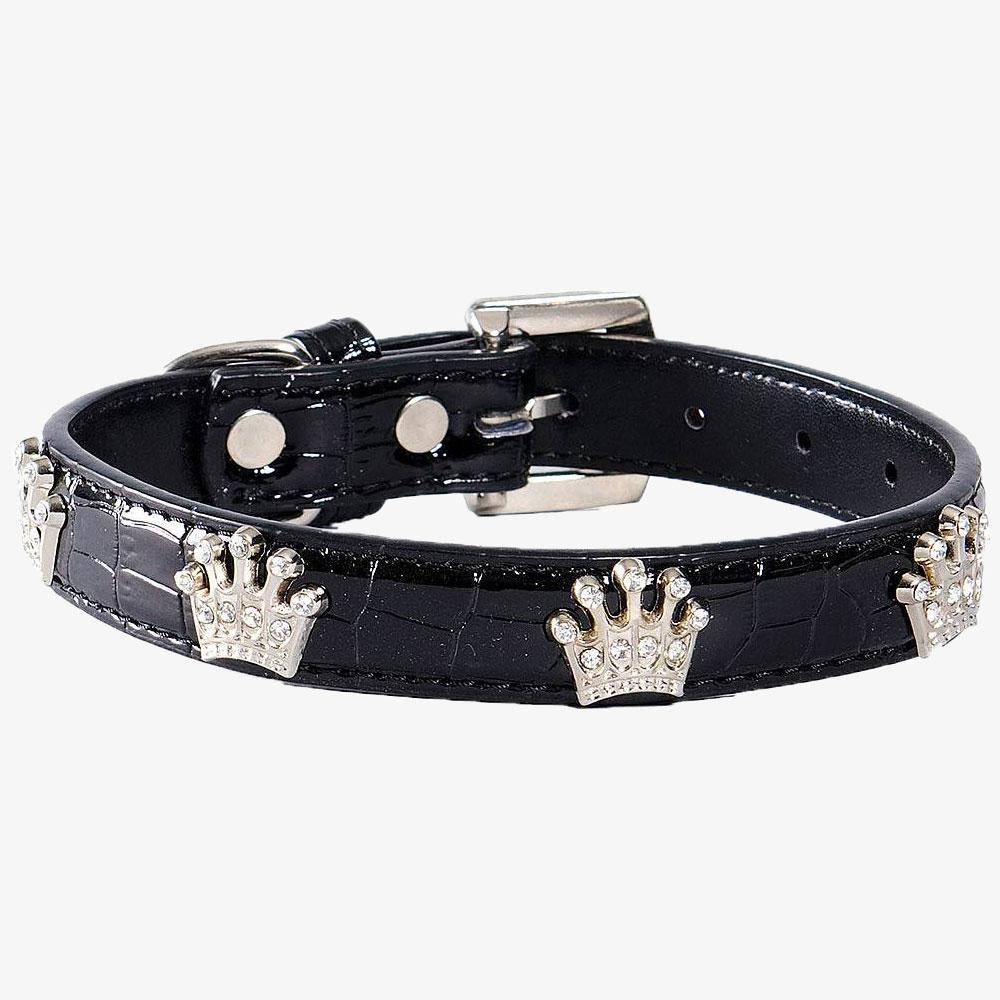 Globus Sport Dog Collar